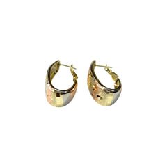 Luxe Radiance Hoop Earrings