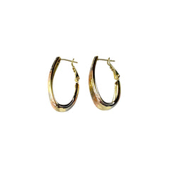 Luxe Radiance Hoop Earrings